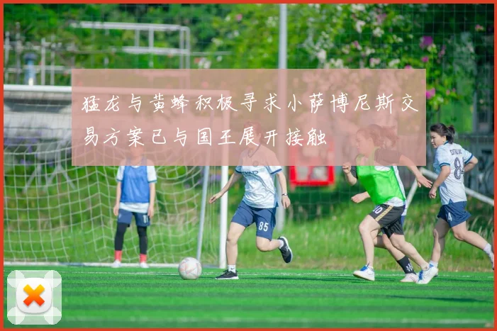 猛龙与黄蜂积极寻求小萨博尼斯交易方案已与国王展开接触